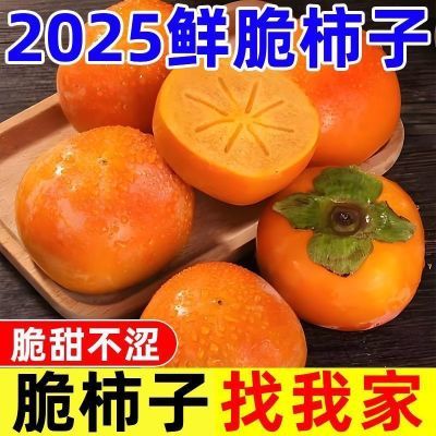 当季脆柿子脆甜冰糖心脆柿子孕妇老人水果净重脆柿子特大果5斤