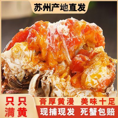 苏州鲜活大闸蟹水产螃蟹活蟹现货公母蟹8只/10只礼盒装优惠商品图片