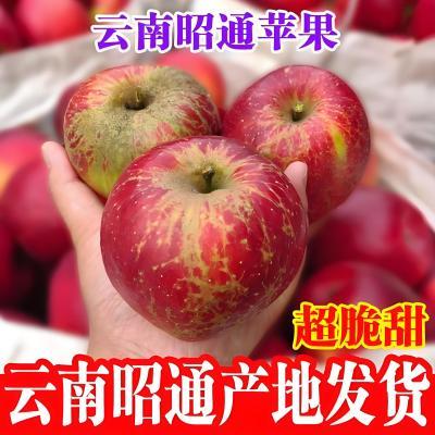【彩箱】正宗昭通丑苹果云南新鲜水果孕妇红富士冰糖心5斤装包邮