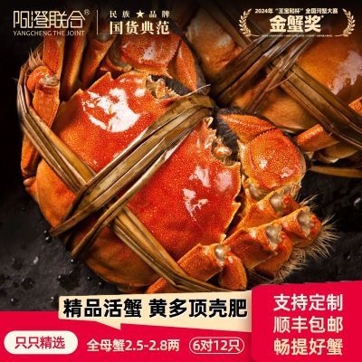 зʻբзȫĸзֻзʾƷ 126.99Ԫ