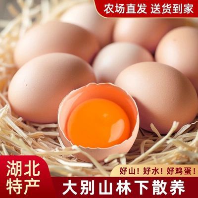 【鲜蛋直发】正宗土鸡蛋农家散养笨鸡蛋40-50g五谷喂养营养多规格