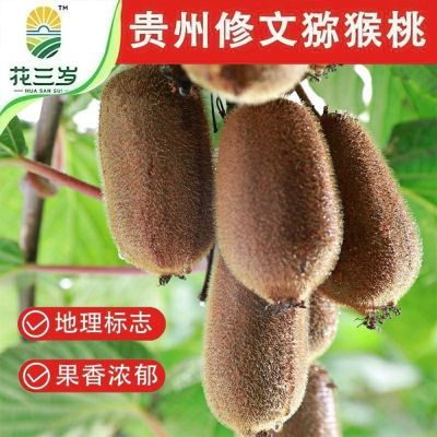 花三岁贵州修文猕猴桃新鲜孕妇水果整箱贵长弥猴桃礼盒绿心奇异果