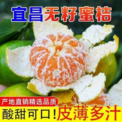 现摘宜昌蜜桔蜜橘薄皮桔子青皮孕妇新鲜当季水果酸甜橘子整箱批发