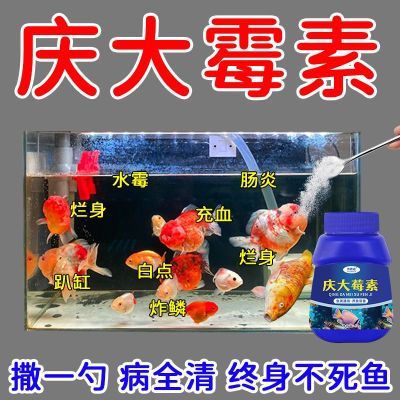庆大霉素鱼病专用药烂身烂尾白点白毛掉磷蒙眼杀菌消炎康复消毒药