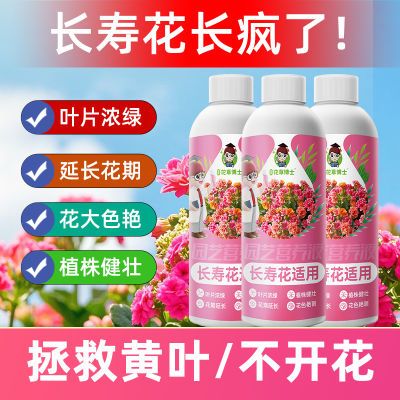 长寿花专用浓缩营养液促开花促花苞增色增艳延长花期花卉绿植肥料