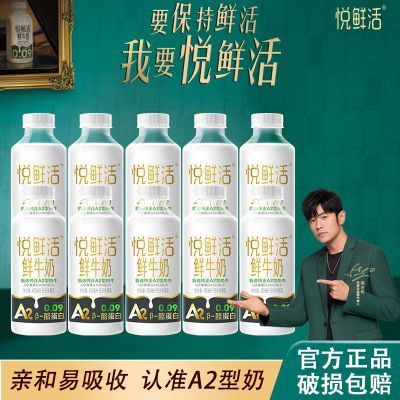 君乐宝悦鲜活A2型鲜牛奶β-酪蛋白鲜奶450ml巴氏杀菌高钙生牛乳【12月8日发完】