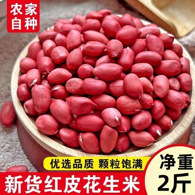 2斤红皮花生新货生花生新鲜四粒红花生红衣花生东北红皮花生批发
