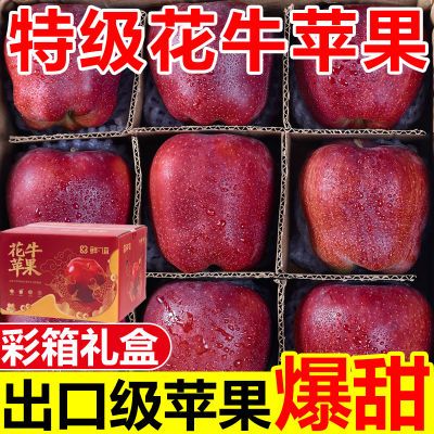 【彩箱礼盒】正宗甘肃天水花牛苹果应季蛇果新鲜苹果水果批发整箱
