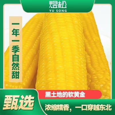 2025头茬东北黄糯玉米香甜软糯真空包装180g-230g*10支粗粮代餐