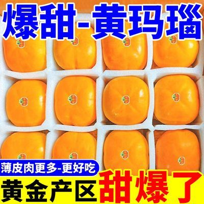 新鲜脆柿水果当季整箱脆甜柿子现摘柿子大果应季巧克力脆皮硬甜柿