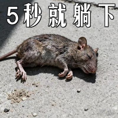强效驱鼠强力驱虫户外室内蟑螂虫鼠浓缩驱避丸防鼠仓库神器香薰灯