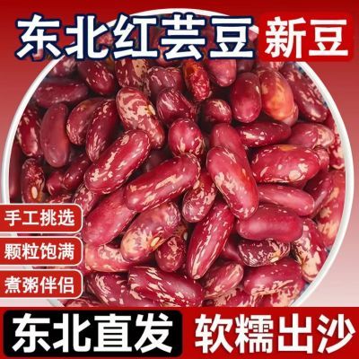 黑龙江2025年东北奶白花芸豆红花芸豆新鲜饭豆大碴粥豆包豆馅煮粥