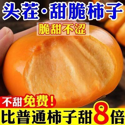 头茬脆柿子脆甜巧克力柿子甜脆柿无核冰糖心脆柿新鲜应季水果批发