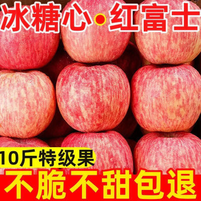 【爆甜】正宗陕西红富士苹果脆甜头茬苹果冰糖心新鲜水果整箱批发
