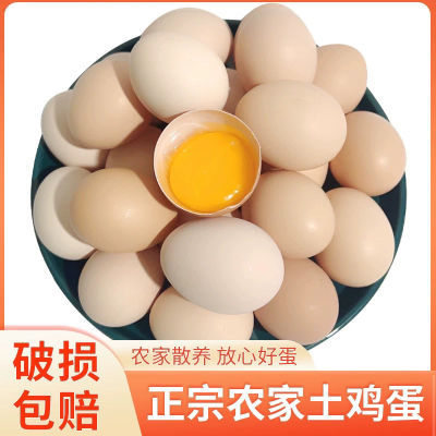 土鸡蛋农家散养鸡蛋正宗40g-50g新鲜谷物鸡蛋营养柴鸡蛋整箱批发
