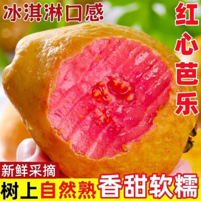 正宗广西奶油红心软芭乐香甜心软番石榴新鲜当季水果鸡屎草莓批发