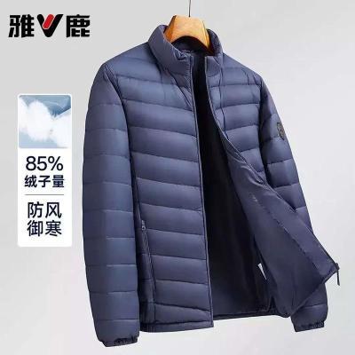 ڲ¹85ޡʽůᱡ޷ճͨڰٴ 105Ԫ