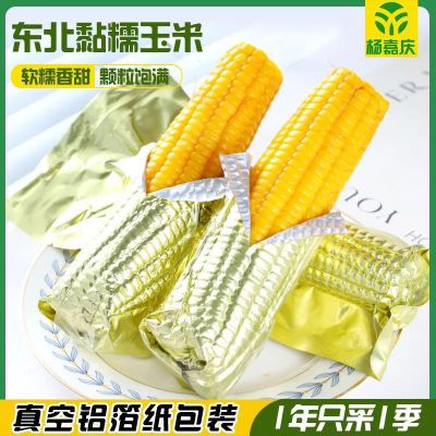 东北黄糯玉米铝箔 10支  整箱5斤以上