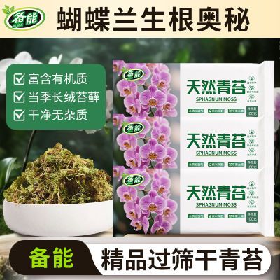 ڲ̦̦޺רȻ̦޺Ӫʯֲֲ8.13Ԫ