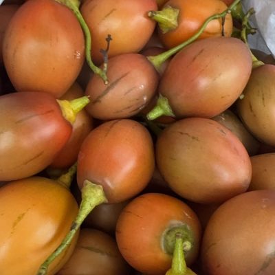 新鲜黄心树番茄当季现摘云南鸡蛋果火锅底料大树番茄果黄心鸡蛋果