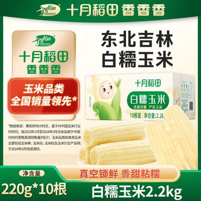 ���ڲ����������ϰ�װ�����ʮ�µ��ﶫ�����ְ�Ŵ����10֧������ʵ�֬���� 21Ԫ