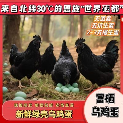 富硒乌鸡蛋 正宗恩施农家散养新鲜各种鸡苗可生食富硒土鸡蛋