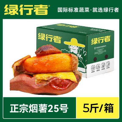 【绿行者】烟薯25糖心蜜薯沙地红番薯现挖红苕山芋超甜烤地瓜5斤