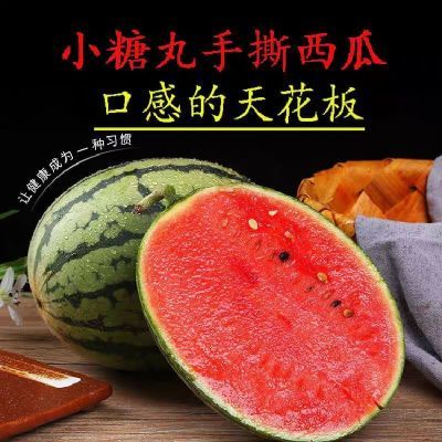小西瓜小糖丸正宗小个吊瓜西瓜新鲜黑籽薄皮糖丸鲜甜现摘整箱水果