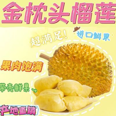 【新客专享】正宗泰国金枕头新鲜应季带壳巴掌榴莲整个批发包邮
