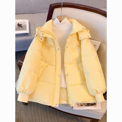 ���ڲ���������2025�޷��Ӻ����¶̿���¿�����ް�����ѧ��С��������� 62.4Ԫ