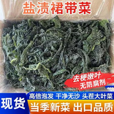 5斤裙带菜海带海带苗海白菜海藻火锅食材串串香原料海裙带海菠菜