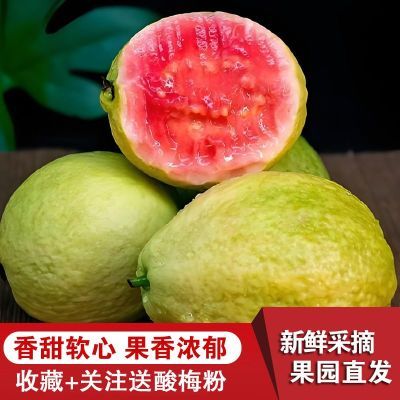 【精选】正宗红心芭乐新鲜番石榴软香甜红肉巴乐当季花稔水果包邮