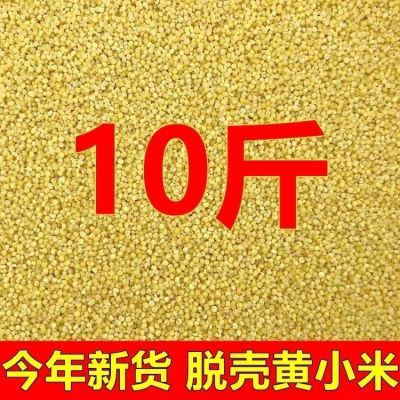 10斤黄小米虎皮鹦鹉鸟食牡丹玄凤脱壳黄谷子小米子蛋小米原料鸟粮