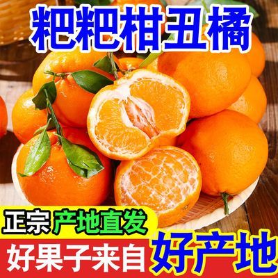 【甜蜜好吃】四川丑橘耙耙柑正宗春见粑粑柑橘子新鲜应季水果桔子