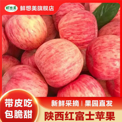 ڲĳƻʺ츻ʿƻ375mm 9.9Ԫ