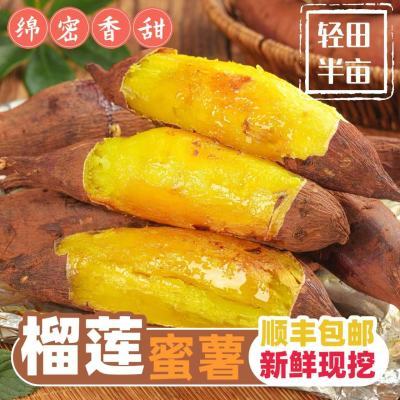 ڲ˳䡿İʻƽķ 18.2Ԫ