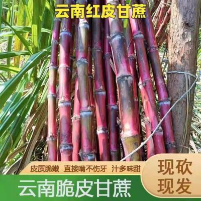 云南红皮甘蔗装新鲜食用当季南方脆皮手撕孕妇水果红皮现砍现发