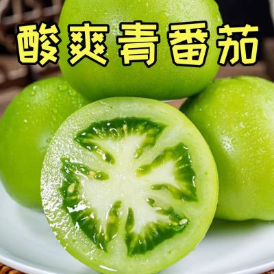 云南青番茄炒菜西红柿新鲜未成熟现摘酸甜青皮农家蔬菜绿色自种