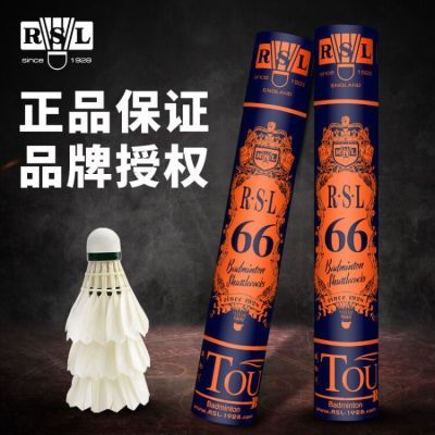 亚狮龙66羽毛球训练比赛用球飞行稳定落点精准耐打羽毛球