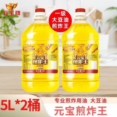 元宝煎炸王大豆油5L*2桶餐饮油炸专用商用食用油桶装