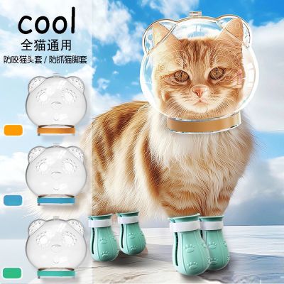 猫咪头套防抓咬人神器防咬防舔防抓防打架洗澡剪指甲防咬透明头套