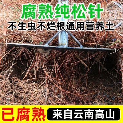 腐熟松针土腐叶土多肉绿萝营养土种菜养花通用纯松针不含土