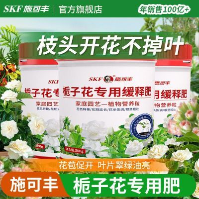 ڲʩɷӻר÷ֲﻺͷ԰ջӻͨͷ 13.3Ԫ