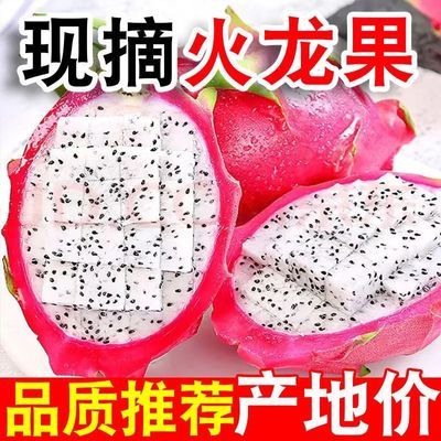 【带箱5斤】正宗越南白心火龙果大果新鲜热带稀有水果应季超甜