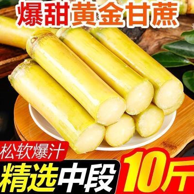 【整箱批发】新鲜中段正宗黄皮甘蔗黄金水果薄皮当季现砍青皮黑皮