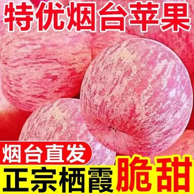 【地标认证】特级烟台苹果脆甜栖霞红富士苹果新鲜水果苹果一整箱