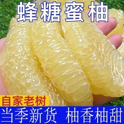 9斤彩箱正宗福建平和白心柚子老树白蜜柚白肉白心冰糖柚孕妇水果