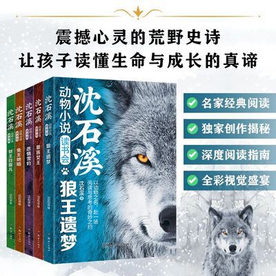 沈石溪动物小说5册狼王遗梦阅读与思考的奇妙之约生命与成长真谛