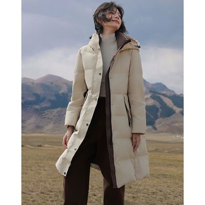 ���ڲ�������������������Ұ����С�Ứ��ŷ����ñ���������г���Ůʽ���޷� 1059Ԫ