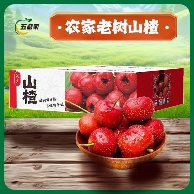 ڲװɽɽ髹35ũɽӱǺ« 14.5Ԫ